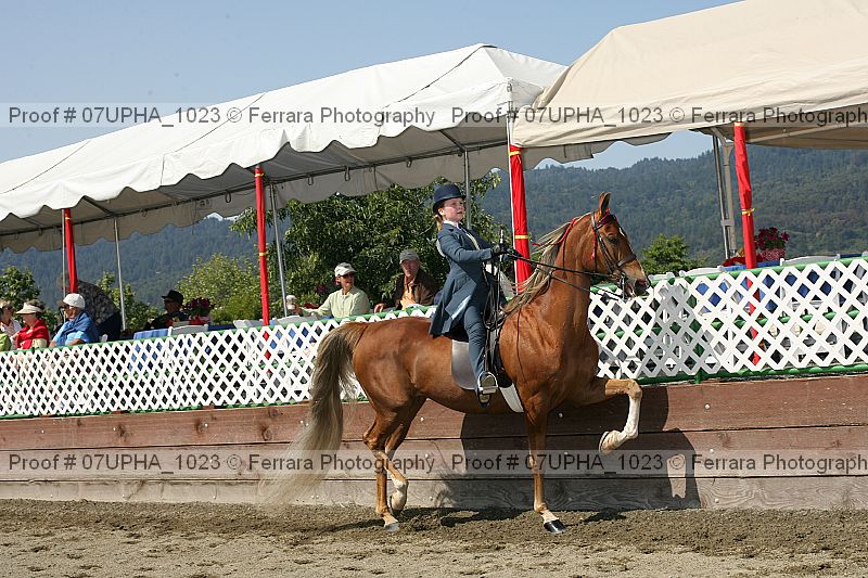 Proof 07upha_1023