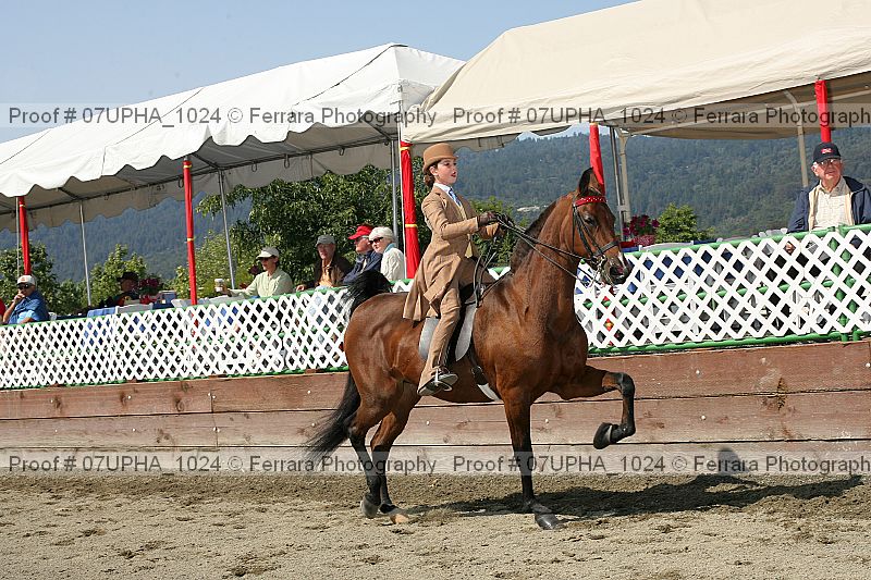 Proof 07upha_1024