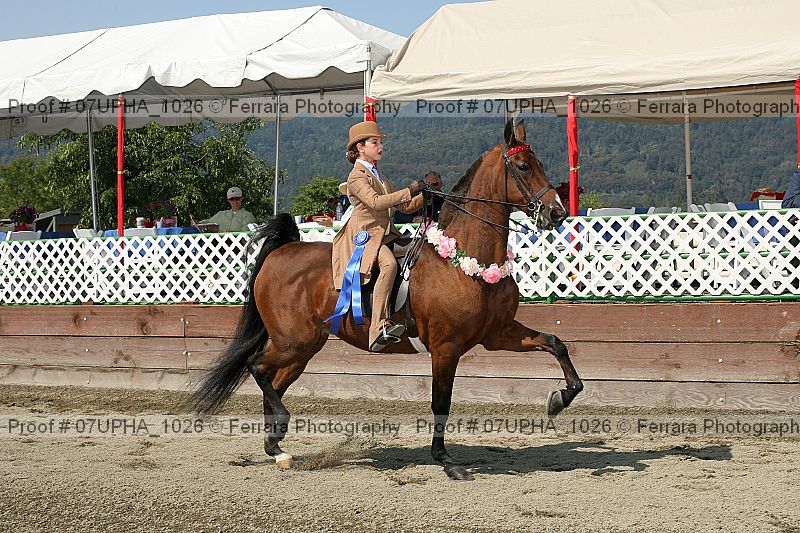 Proof 07upha_1026