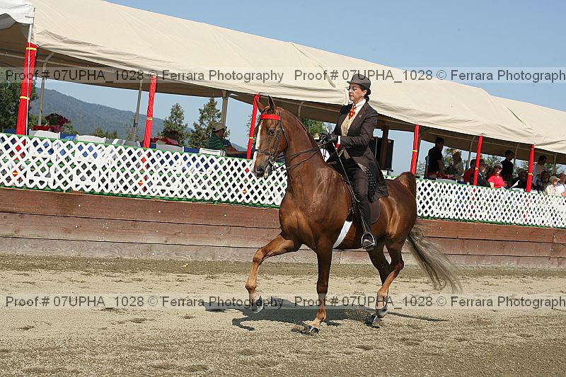 Proof 07upha_1028