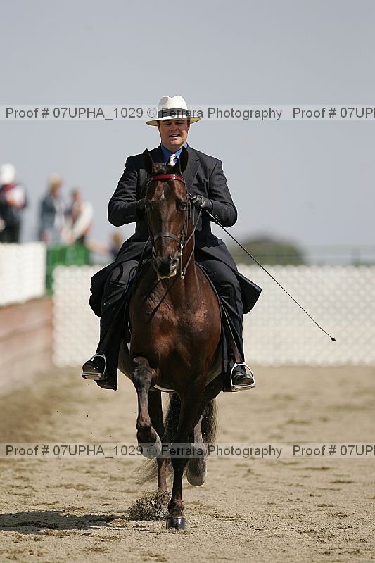 Proof 07upha_1029