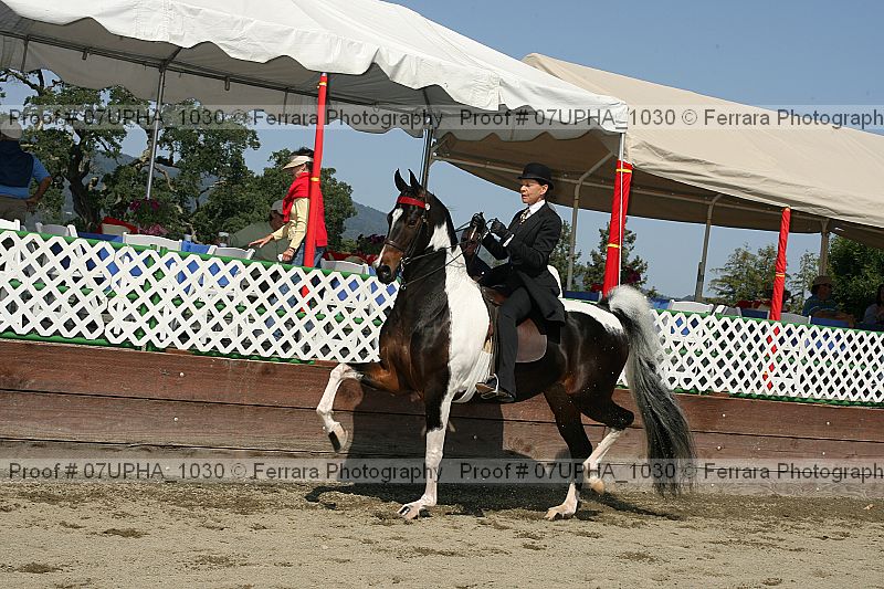 Proof 07upha_1030