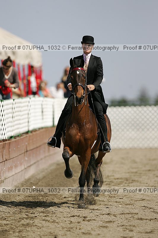 Proof 07upha_1032