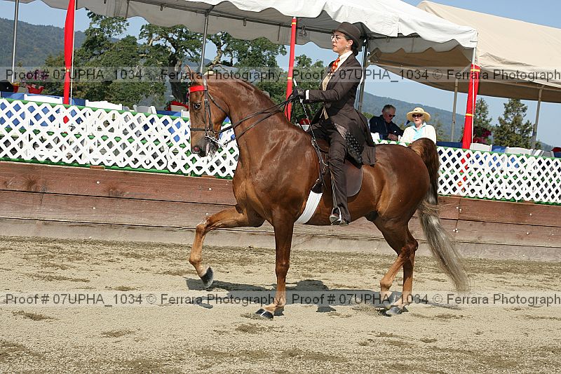 Proof 07upha_1034