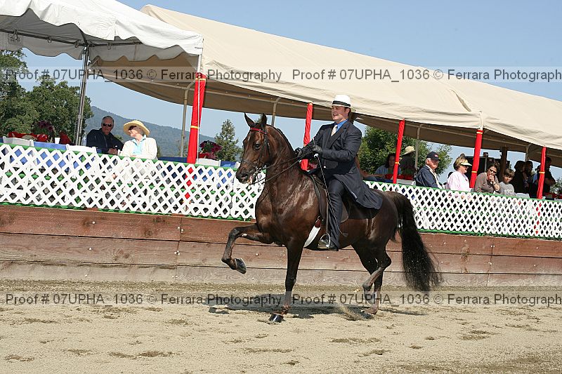 Proof 07upha_1036