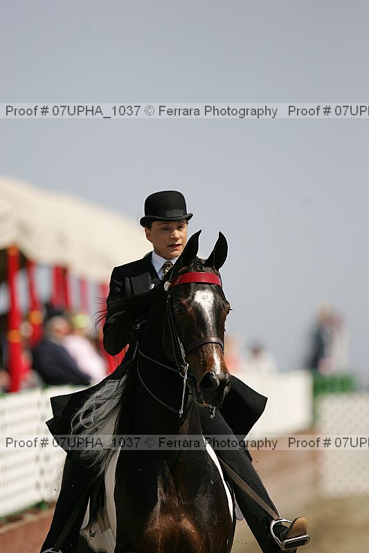 Proof 07upha_1037