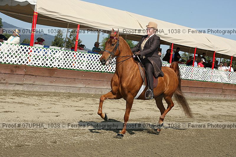Proof 07upha_1038