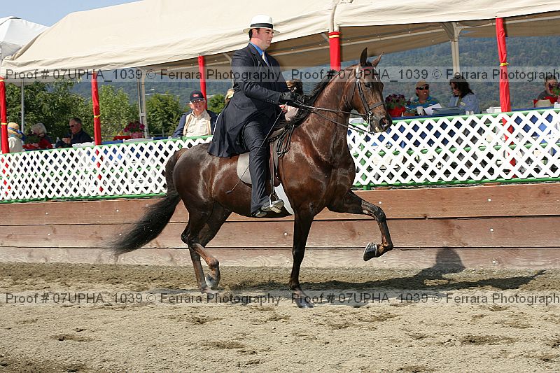 Proof 07upha_1039