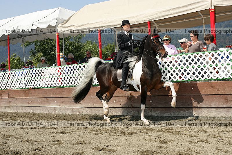 Proof 07upha_1041