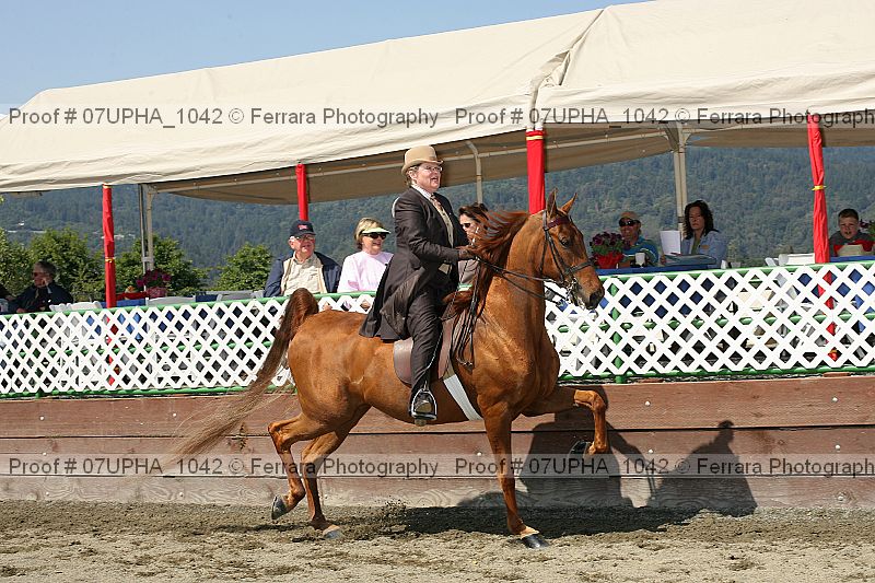 Proof 07upha_1042