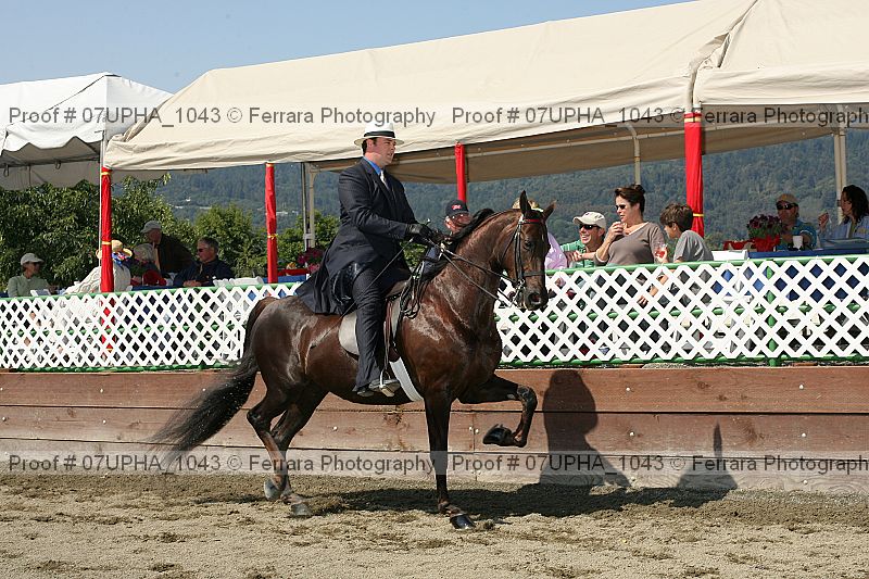 Proof 07upha_1043