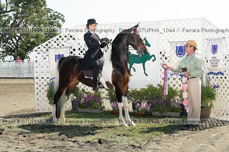 Proof 07upha_1044