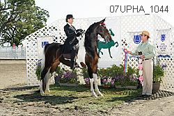07upha_1044 proof