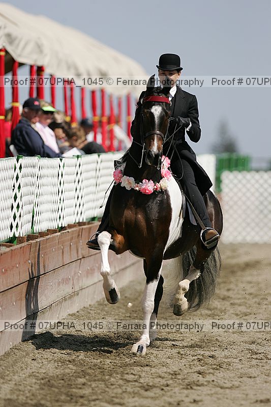 Proof 07upha_1045