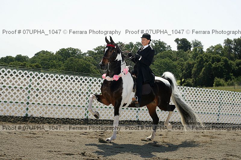 Proof 07upha_1047
