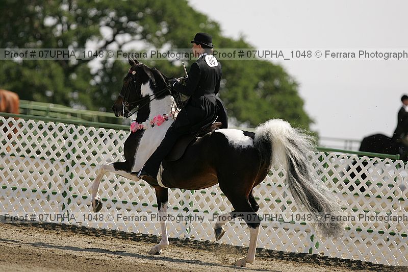 Proof 07upha_1048