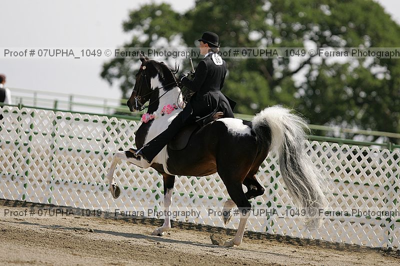 Proof 07upha_1049