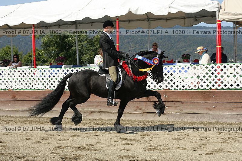Proof 07upha_1060