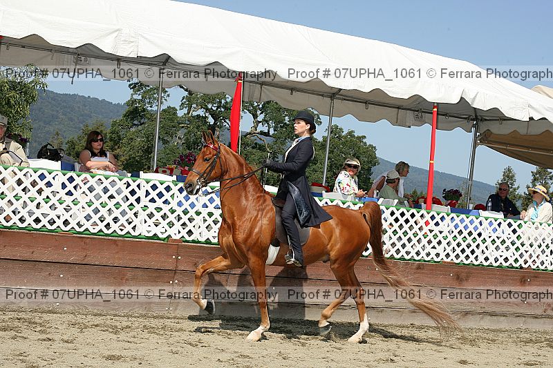 Proof 07upha_1061