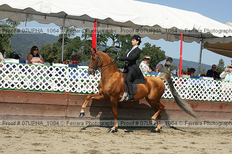 Proof 07upha_1064