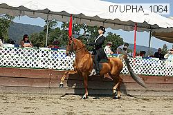 07upha_1064 proof
