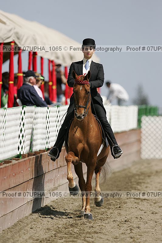 Proof 07upha_1065