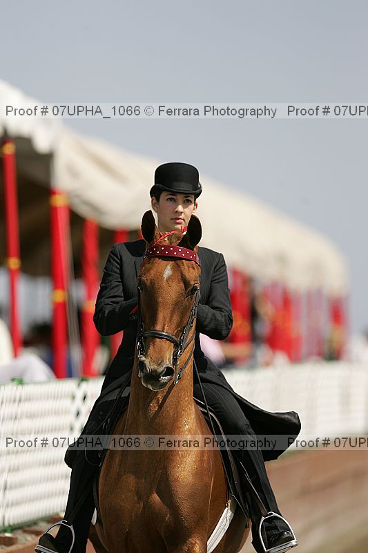 Proof 07upha_1066