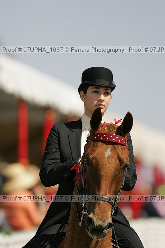 Proof 07upha_1067