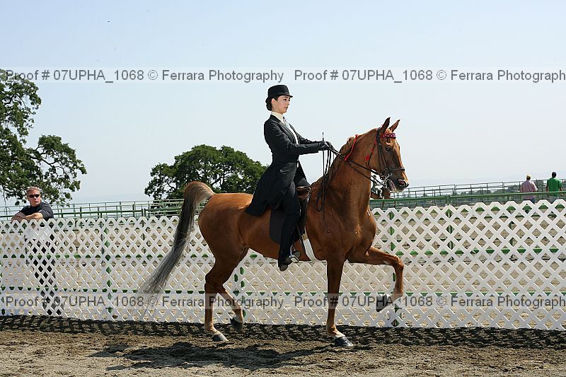 Proof 07upha_1068