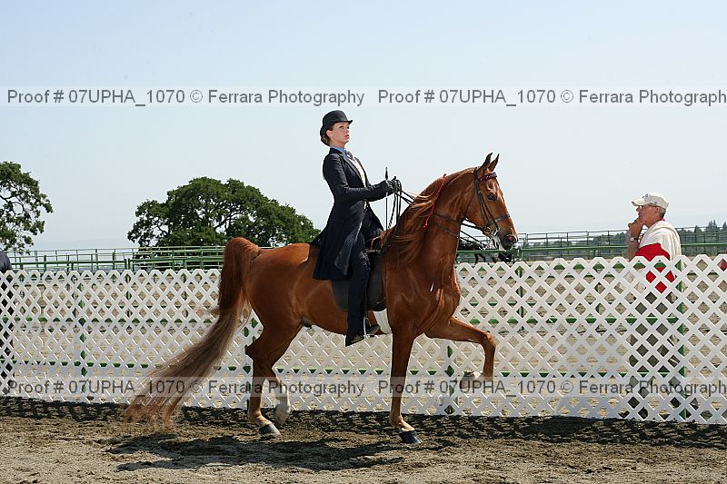 Proof 07upha_1070