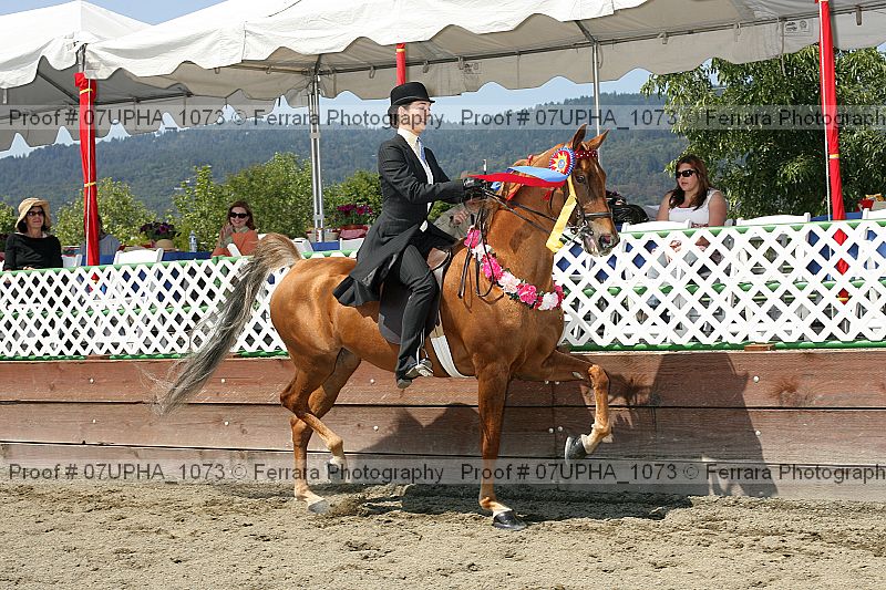 Proof 07upha_1073