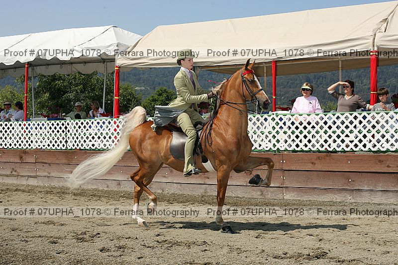 Proof 07upha_1078