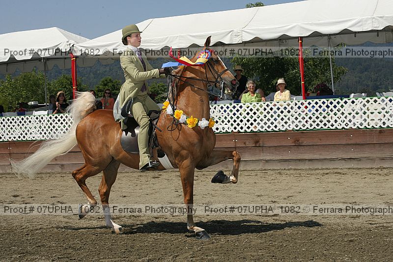 Proof 07upha_1082