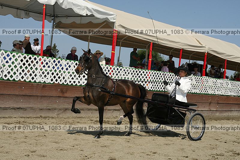 Proof 07upha_1083