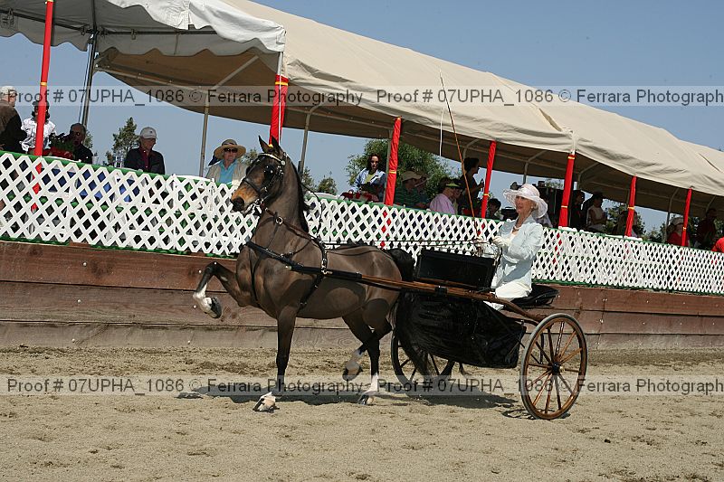 Proof 07upha_1086