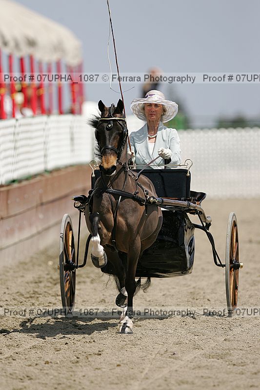 Proof 07upha_1087