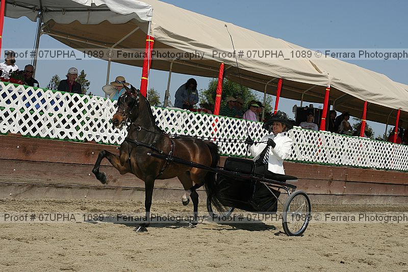 Proof 07upha_1089