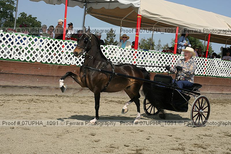Proof 07upha_1091