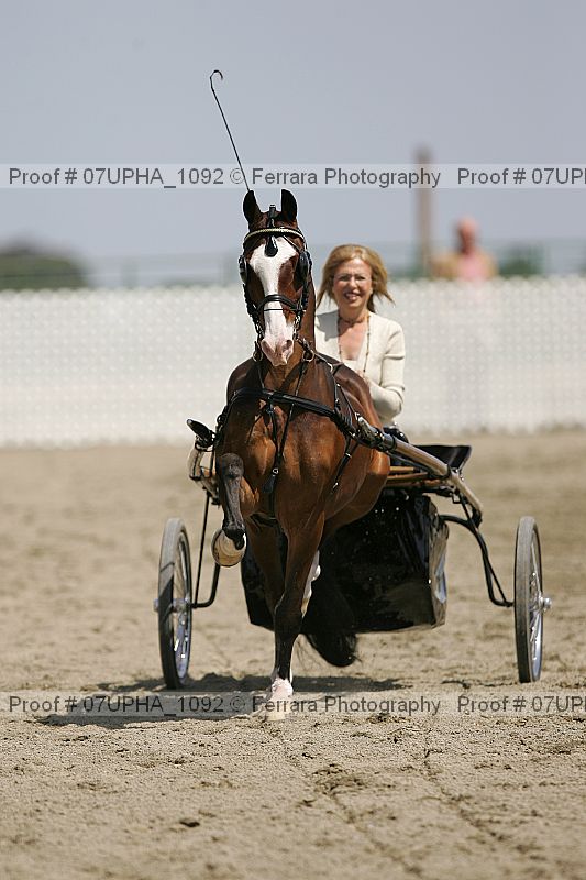 Proof 07upha_1092