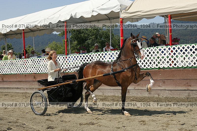Proof 07upha_1094