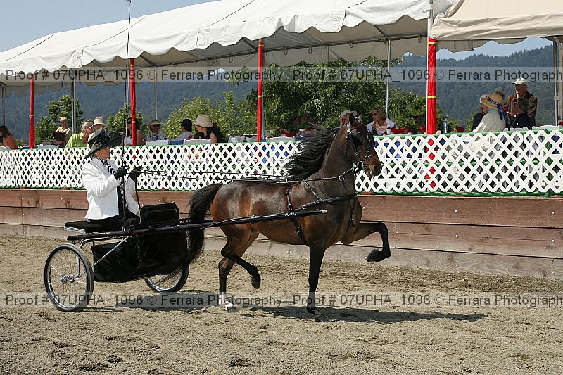 Proof 07upha_1096
