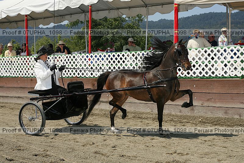 Proof 07upha_1098