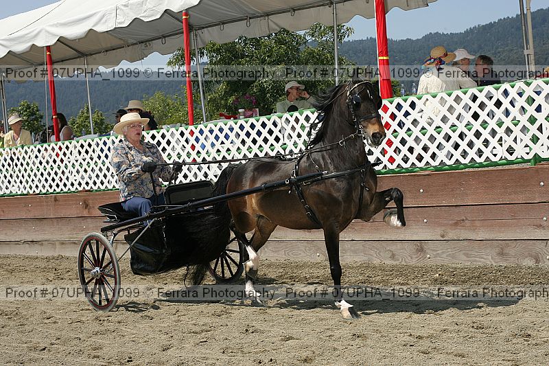 Proof 07upha_1099