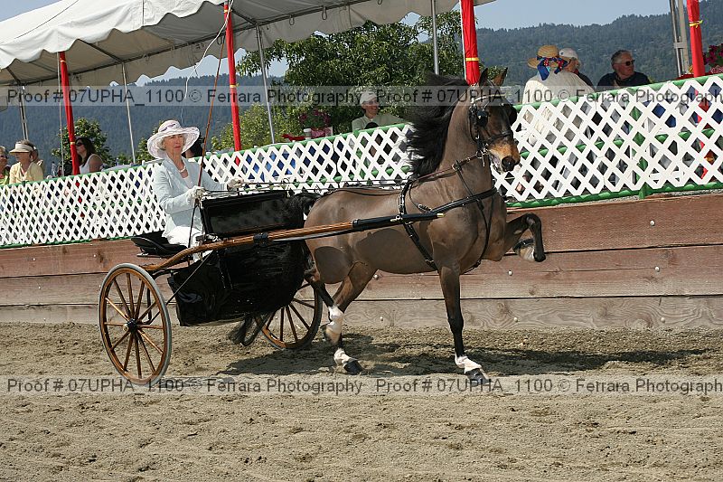 Proof 07upha_1100