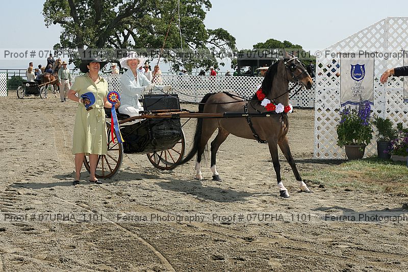 Proof 07upha_1101