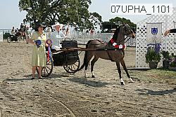 07upha_1101 proof