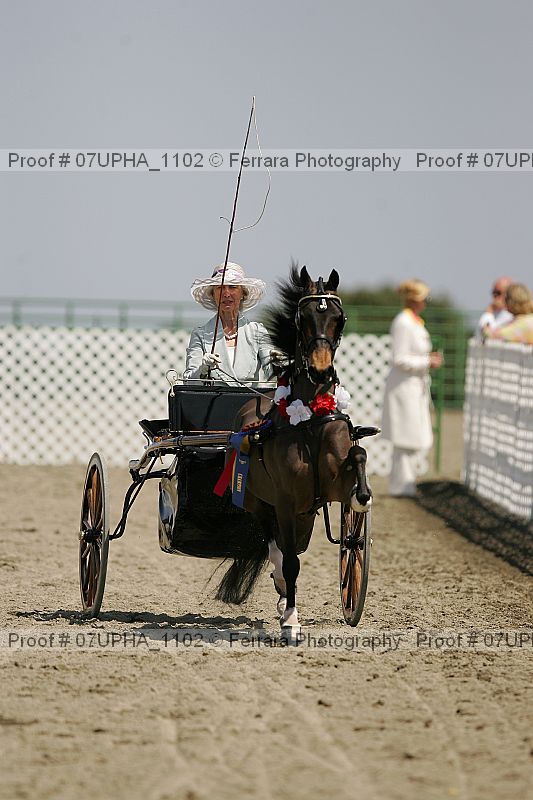 Proof 07upha_1102
