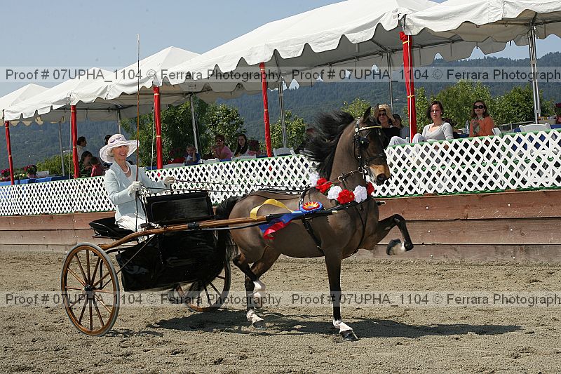 Proof 07upha_1104