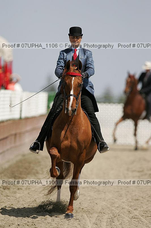 Proof 07upha_1106