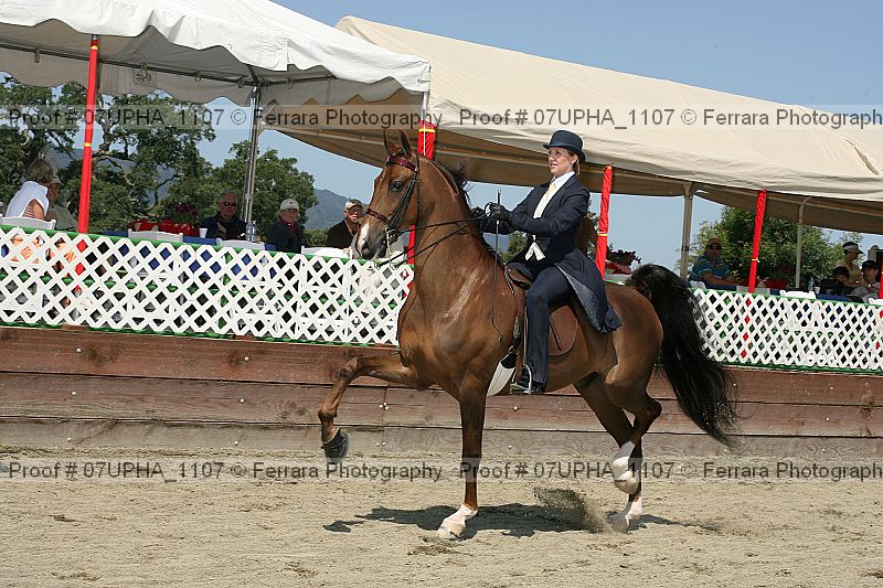 Proof 07upha_1107